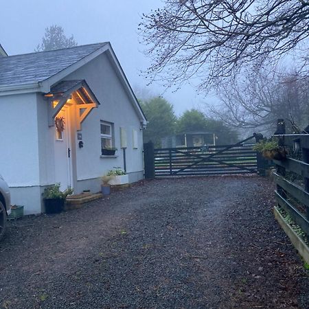 Beech Tree Cottage Glenwherry Extérieur photo