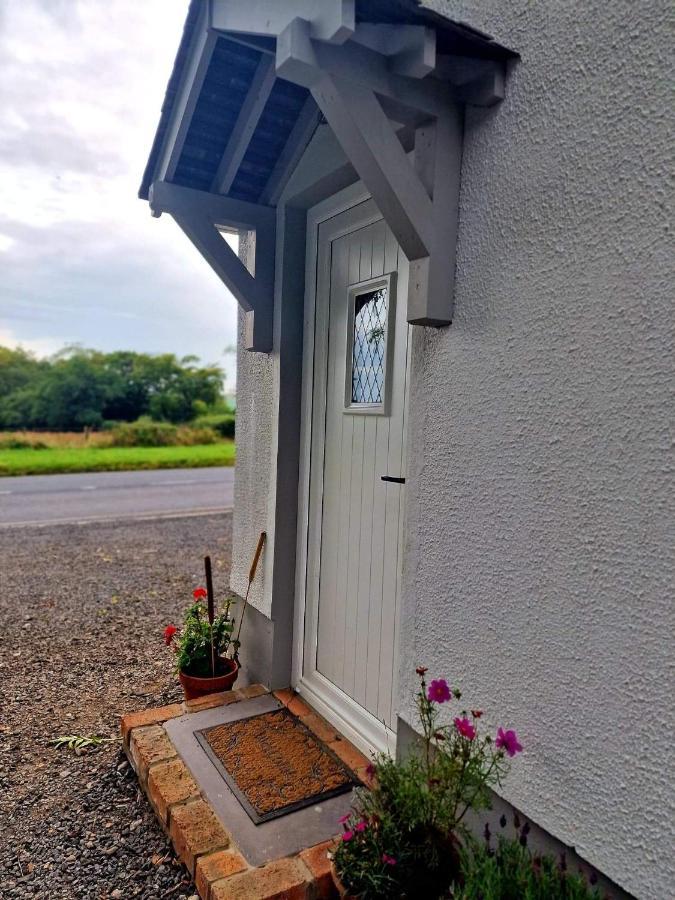 Beech Tree Cottage Glenwherry Extérieur photo
