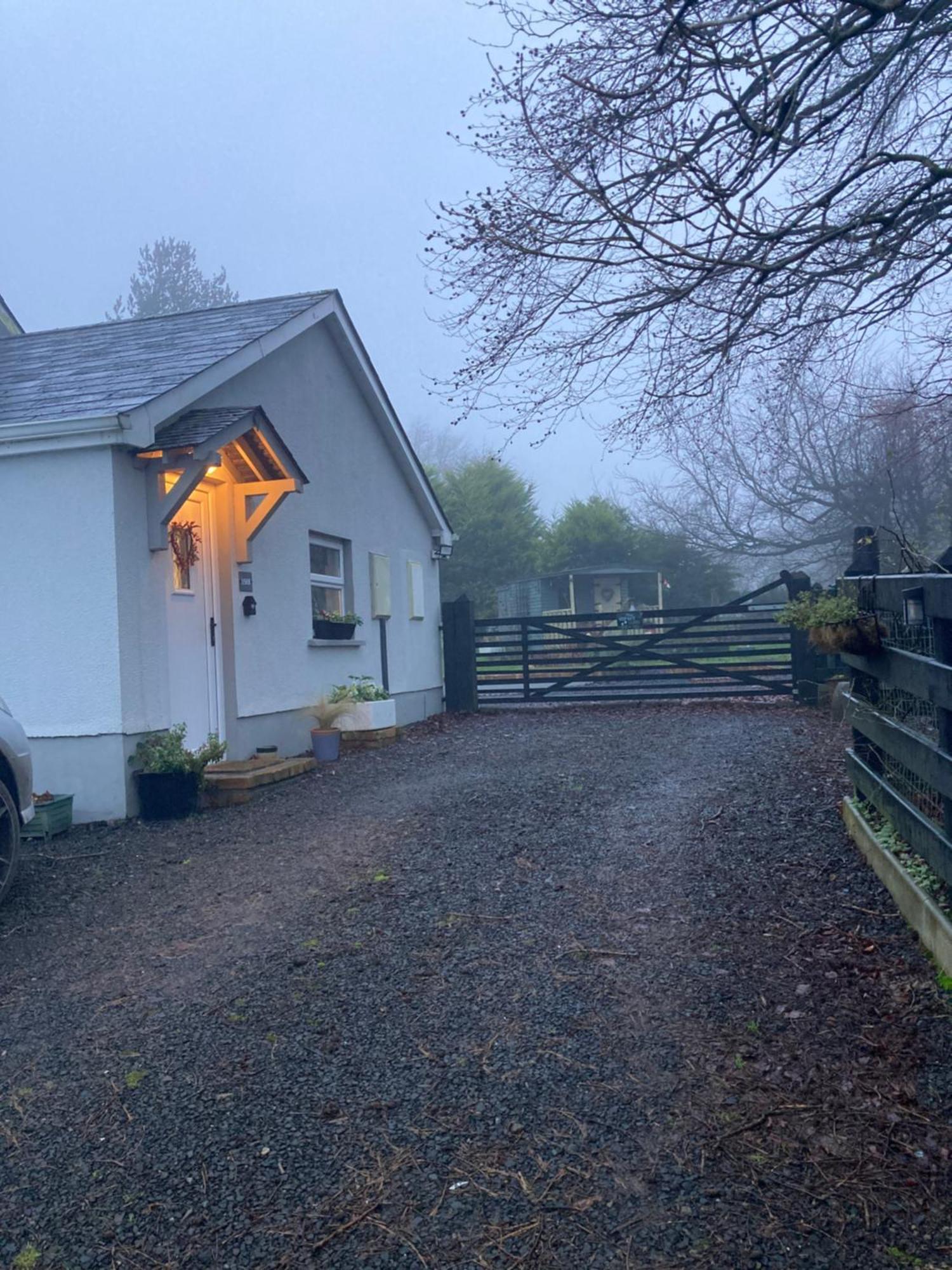 Beech Tree Cottage Glenwherry Extérieur photo
